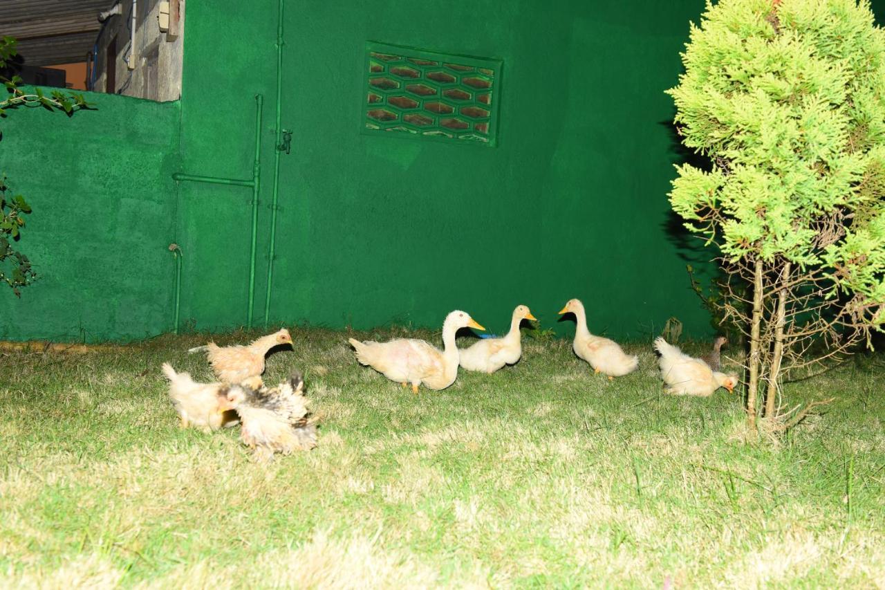 K G N Farmhouse Kundapur Exteriér fotografie